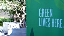 Green lives here